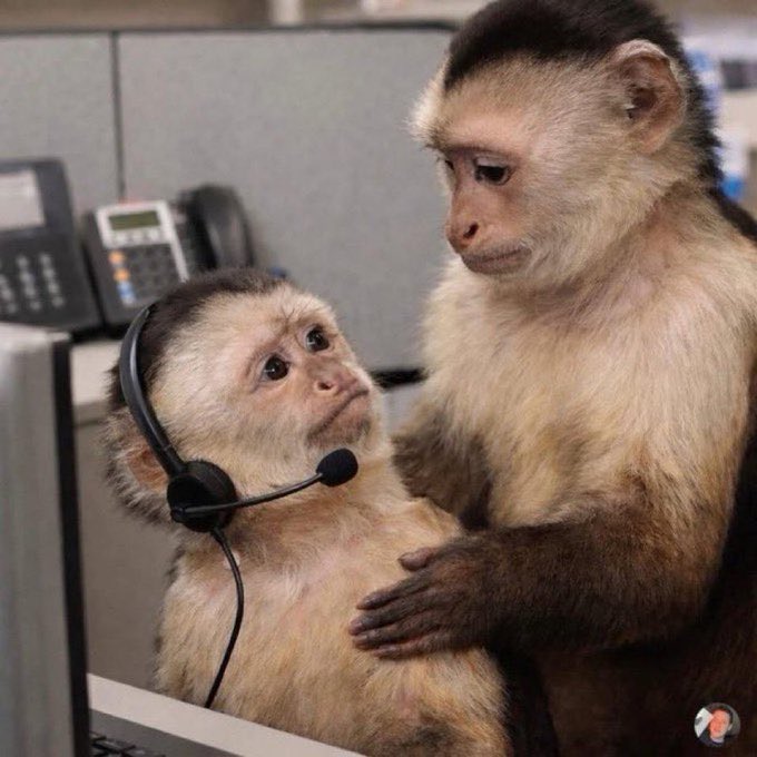 Assuming your name is "YOU" and my name is "ME". So between YOU and ME, who is stupid?