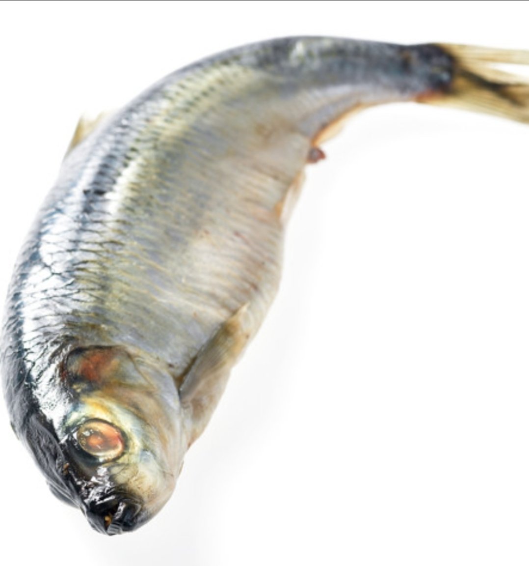 Fierce Pinocchio tweet media