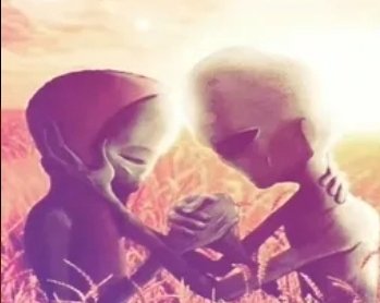 lexizous tweet media