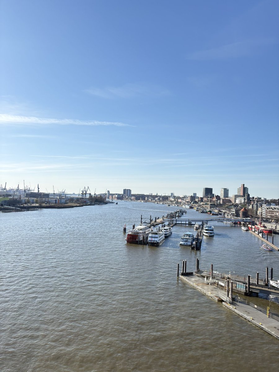 まんだむ tweet media