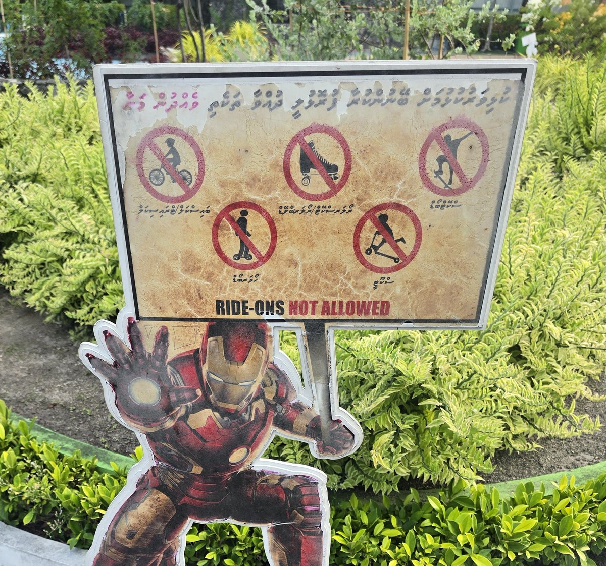 Ismail Mukhthaba tweet media