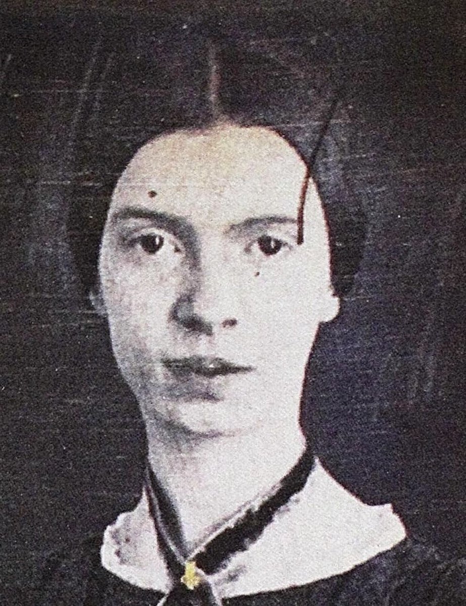 Bret van den Brink tweet media