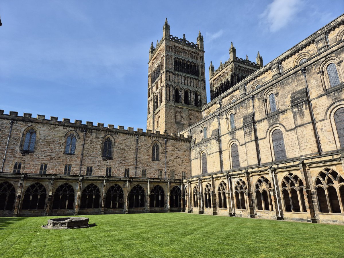 DCathFriends tweet media