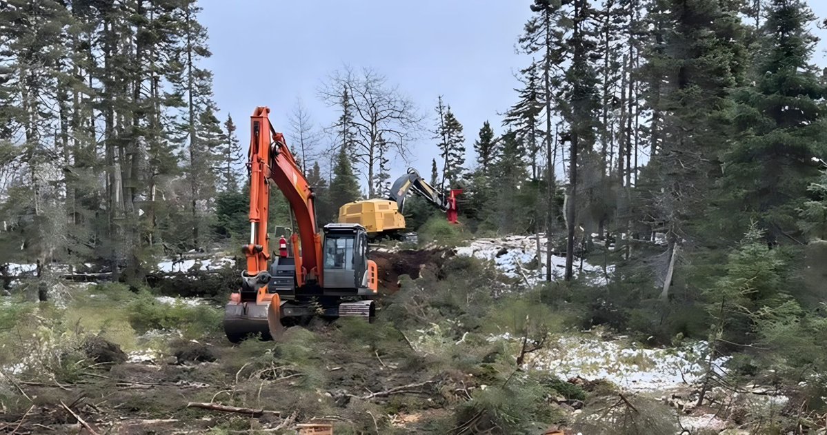 Resource World tweet media