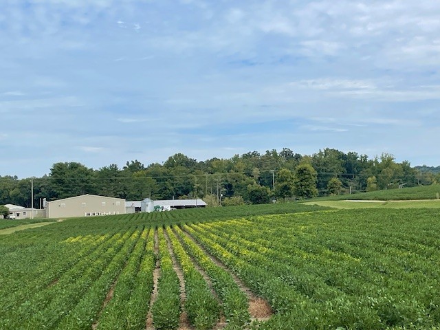 SoybeanResearchInfoNetwork tweet media