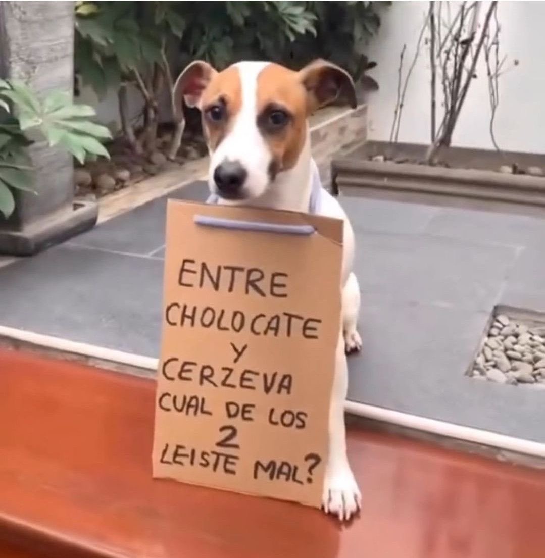 Ya ven ni atención ponen