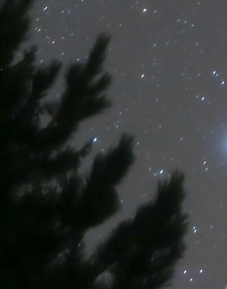 🌻Susana Aguiling🌻 tweet media