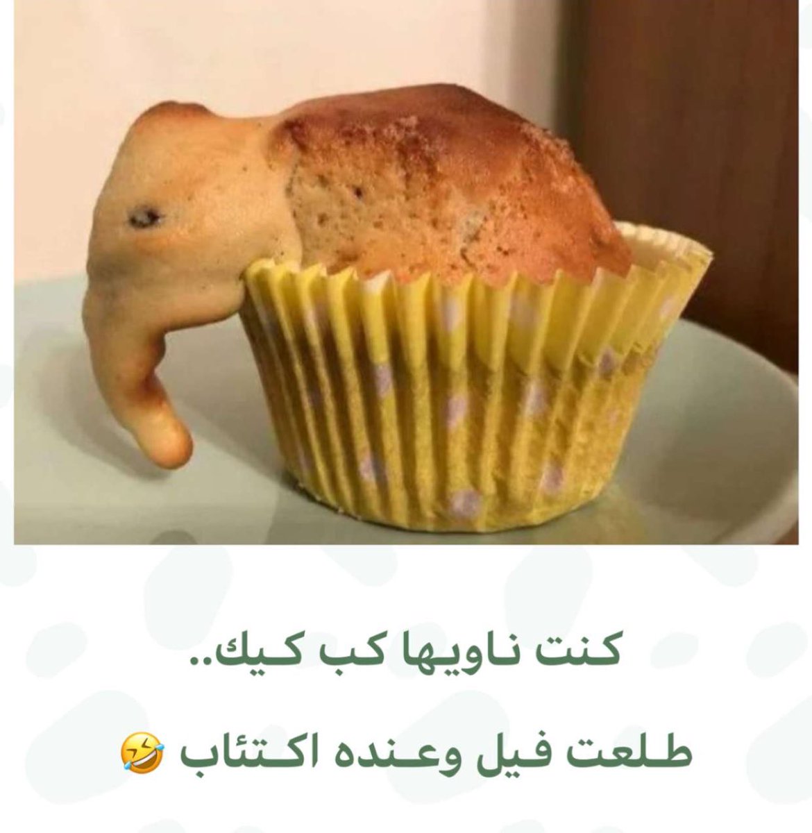 𓆩بوح الغيم𓆪 tweet media