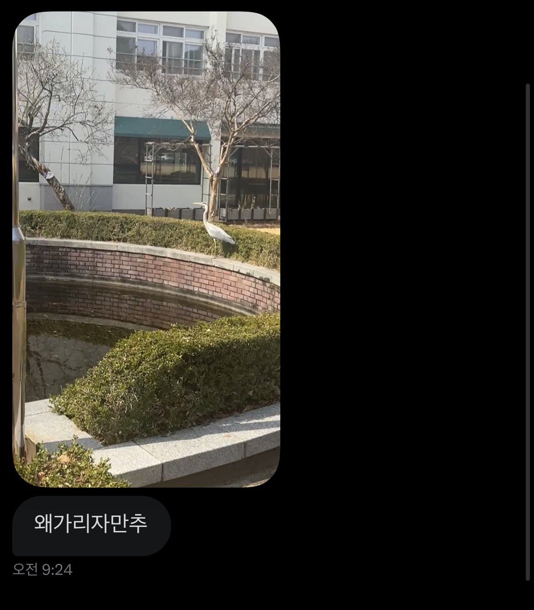 원화여고 저주계정 tweet media