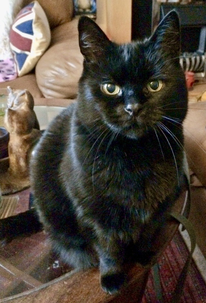 Val Gilchrist tweet media