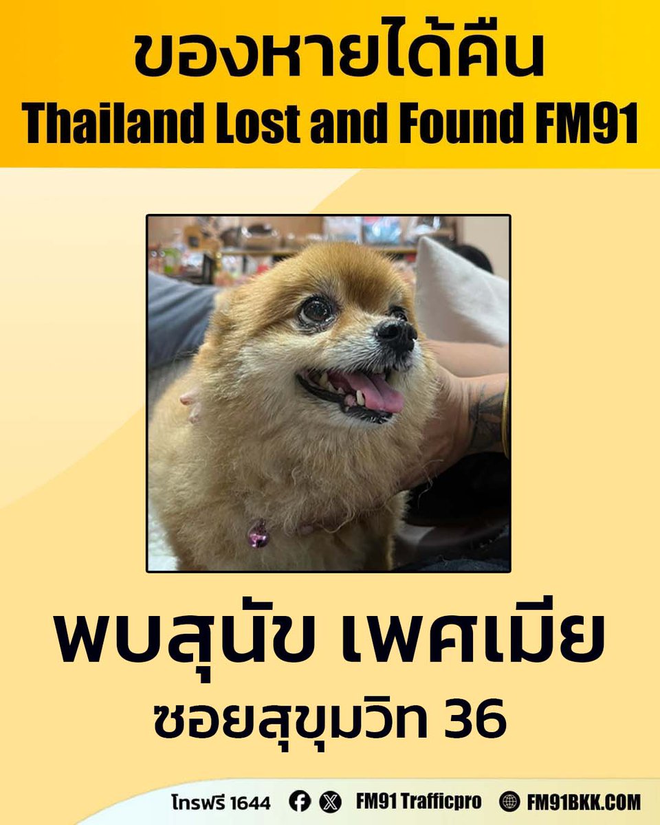 FM91 Trafficpro tweet media