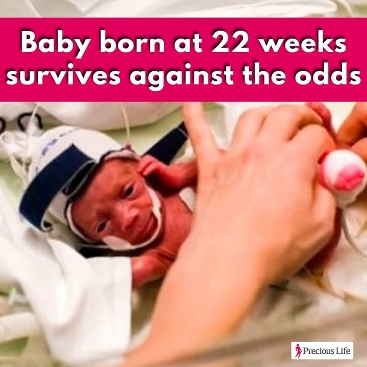 Precious Life tweet media