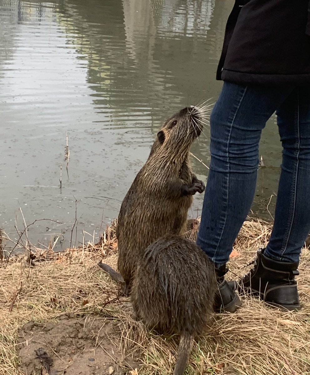 richardtkiewiet tweet media