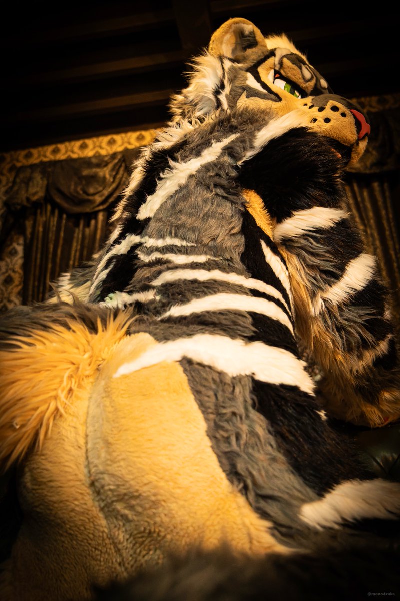 Zephyr🔜 Thaitails🇹🇭 tweet media