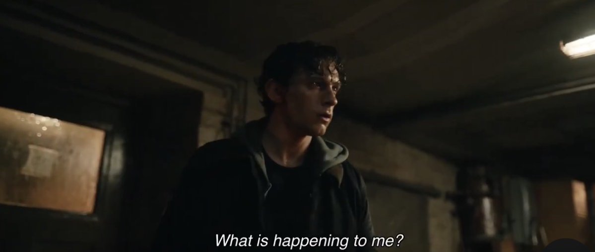 grace 🩷 tweet media