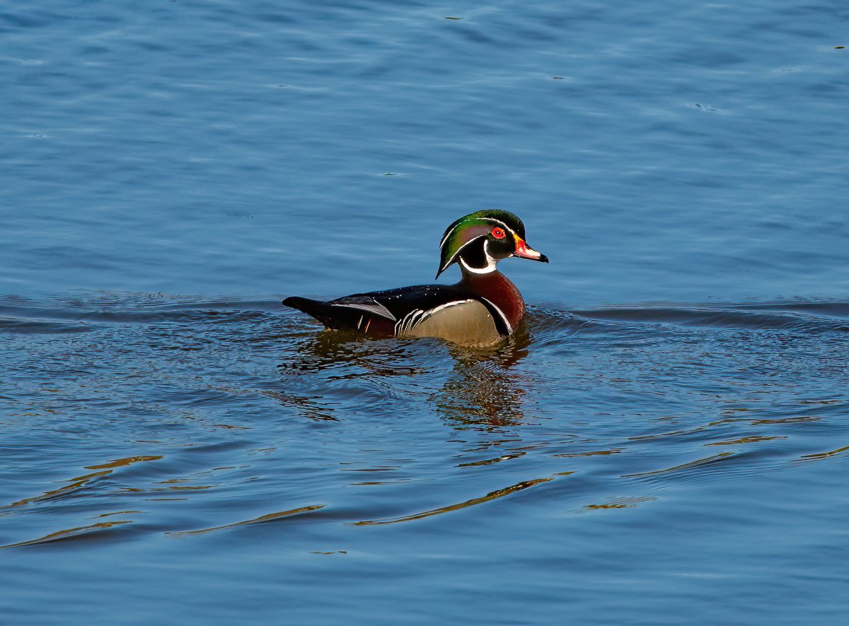 The Only James Magelk tweet media