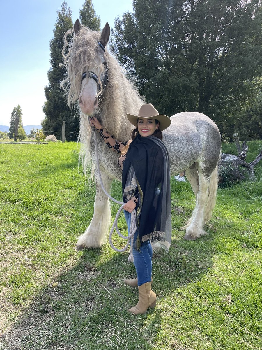 <a href="/Crazymoments01/">Crazy Moments</a> Gypsy vanner