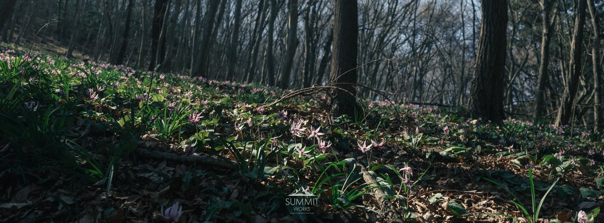 タケル｜山と写真 SUMMIT WORKS tweet media