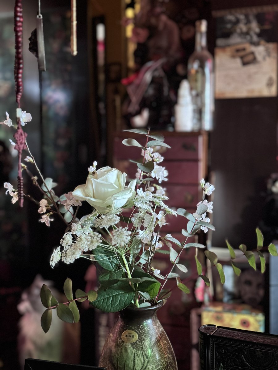 ロウズ⚜️🕒🫀Rose de Reficul tweet media