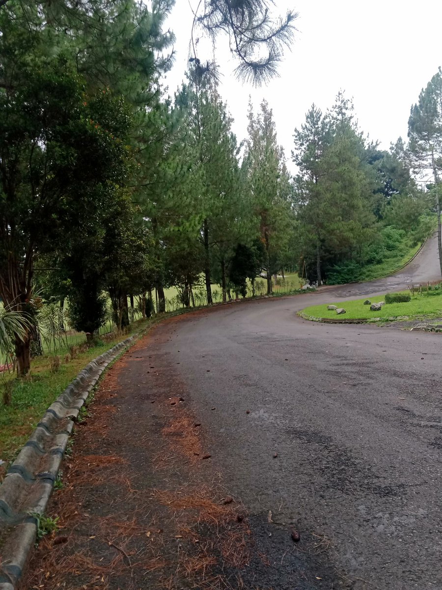 riva0879's tweet photo. Pas bandung ada yg kenal tempat ini ga, kira kira area mana,sejuk buat ngalter https://t.co/6cbaovQvDT