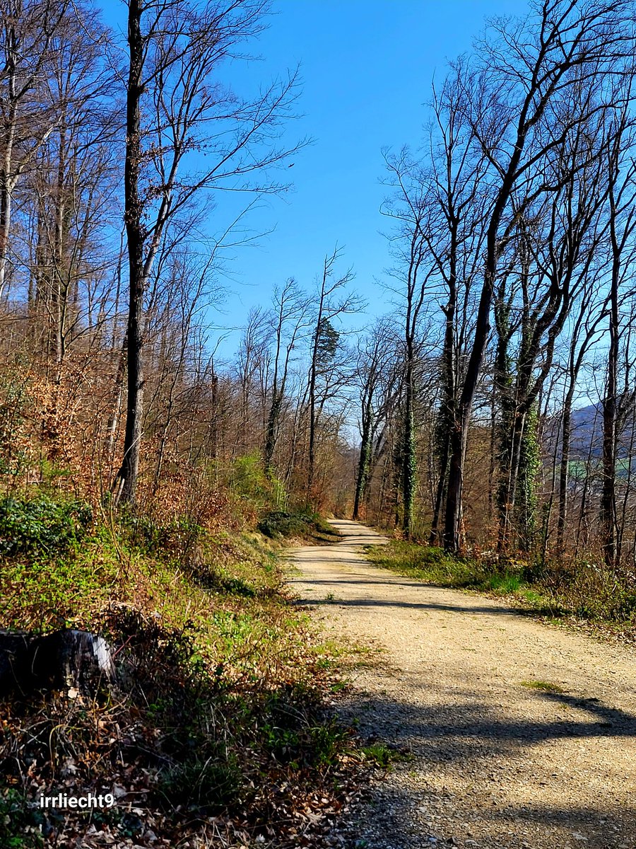 NitramSu tweet media