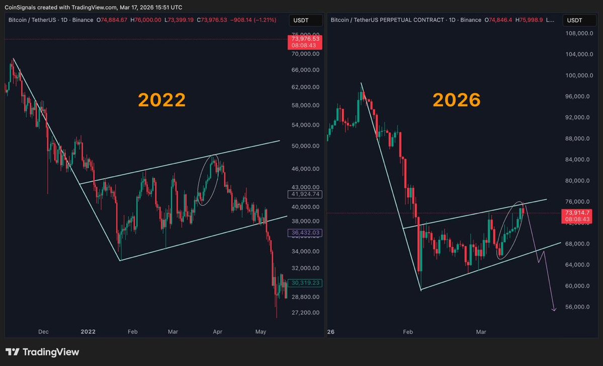 AlphaBack.net | Backcom 100% tweet media