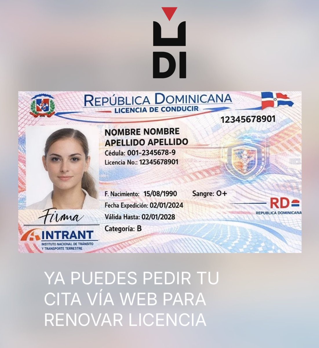 🇩🇴RD| Citas para renovación de licencia de conducir estarán disponibles vía web 🪪

El Instituto Nacional de Transito y Transporte Terrestre (Intrant)
informó que a partir del lunes 9 de marzo los ciudadanos podrán agendar citas en linea para solicitar o renovar la licencia de