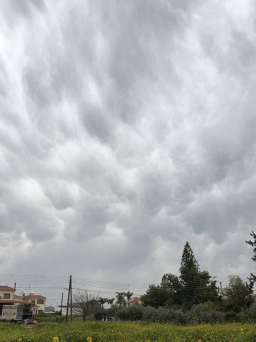 Dr Kleanthis Nicolaides tweet media