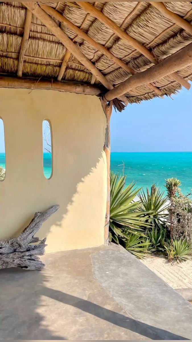 vistaaura tweet media