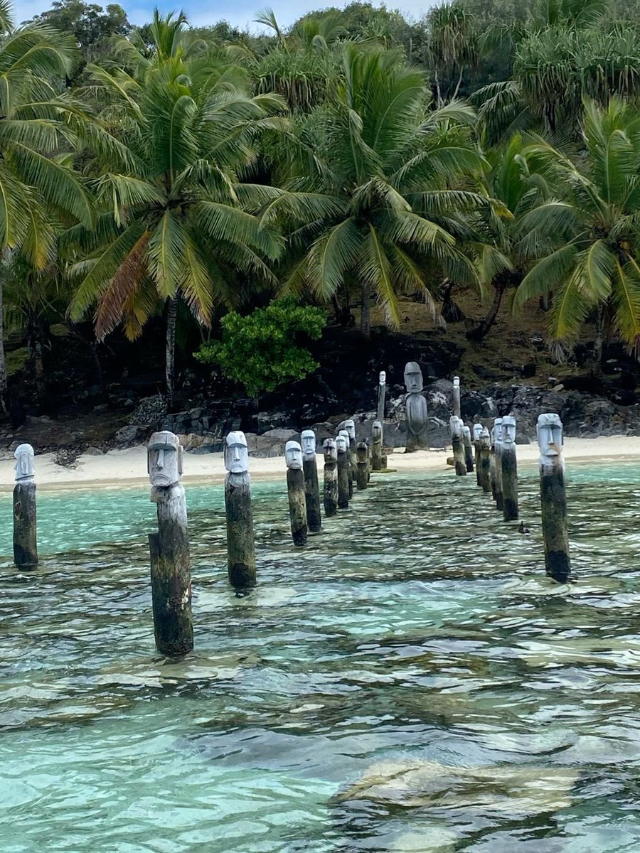 vistaaura tweet media