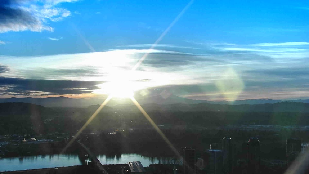 Katie Zúñiga tweet media