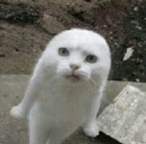 tanjidorkmrudin's tweet image. denger obrolan member gym di loker yang pake segala macem roid, suntik testo dll, terus bilang ada roid yang “aman” loh 😦