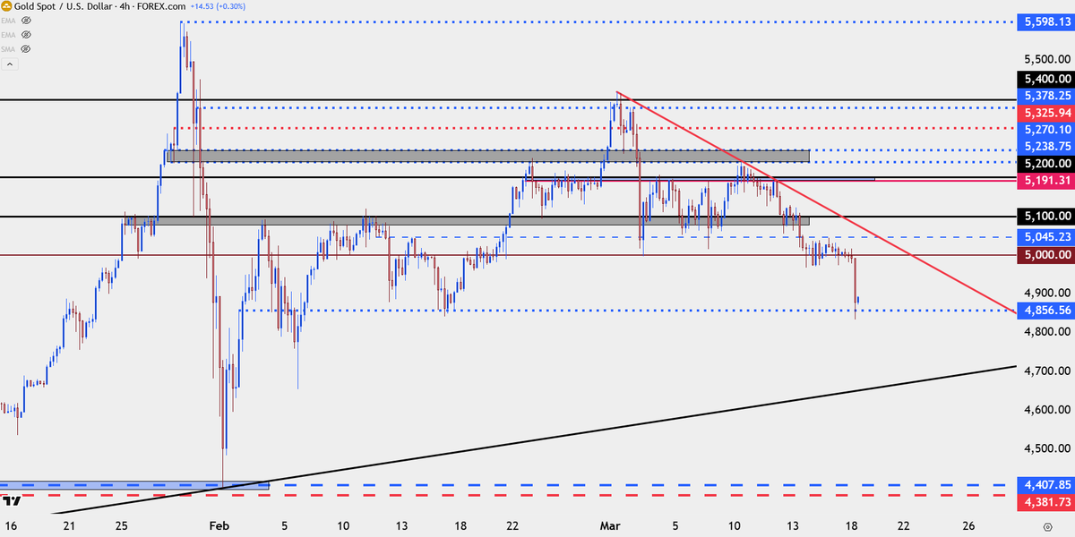 FOREX.com tweet media