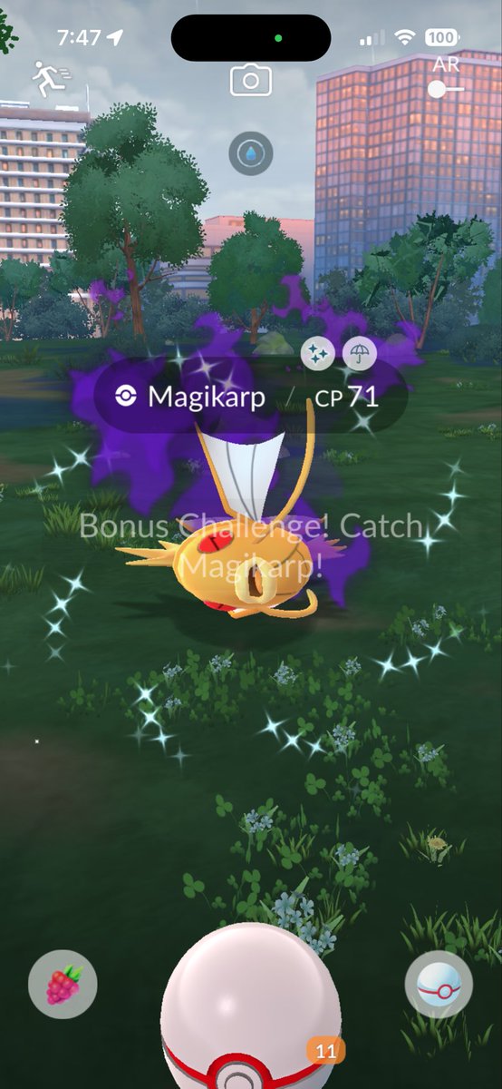 chellmic07 (1 Billy XP) tweet media