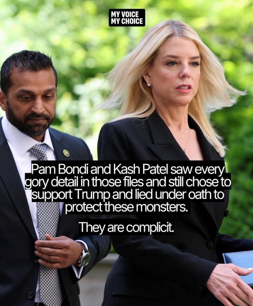 Sheep Dog 🐾🌻 tweet media