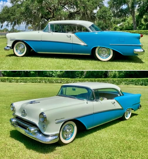 Maurice Julien tweet media