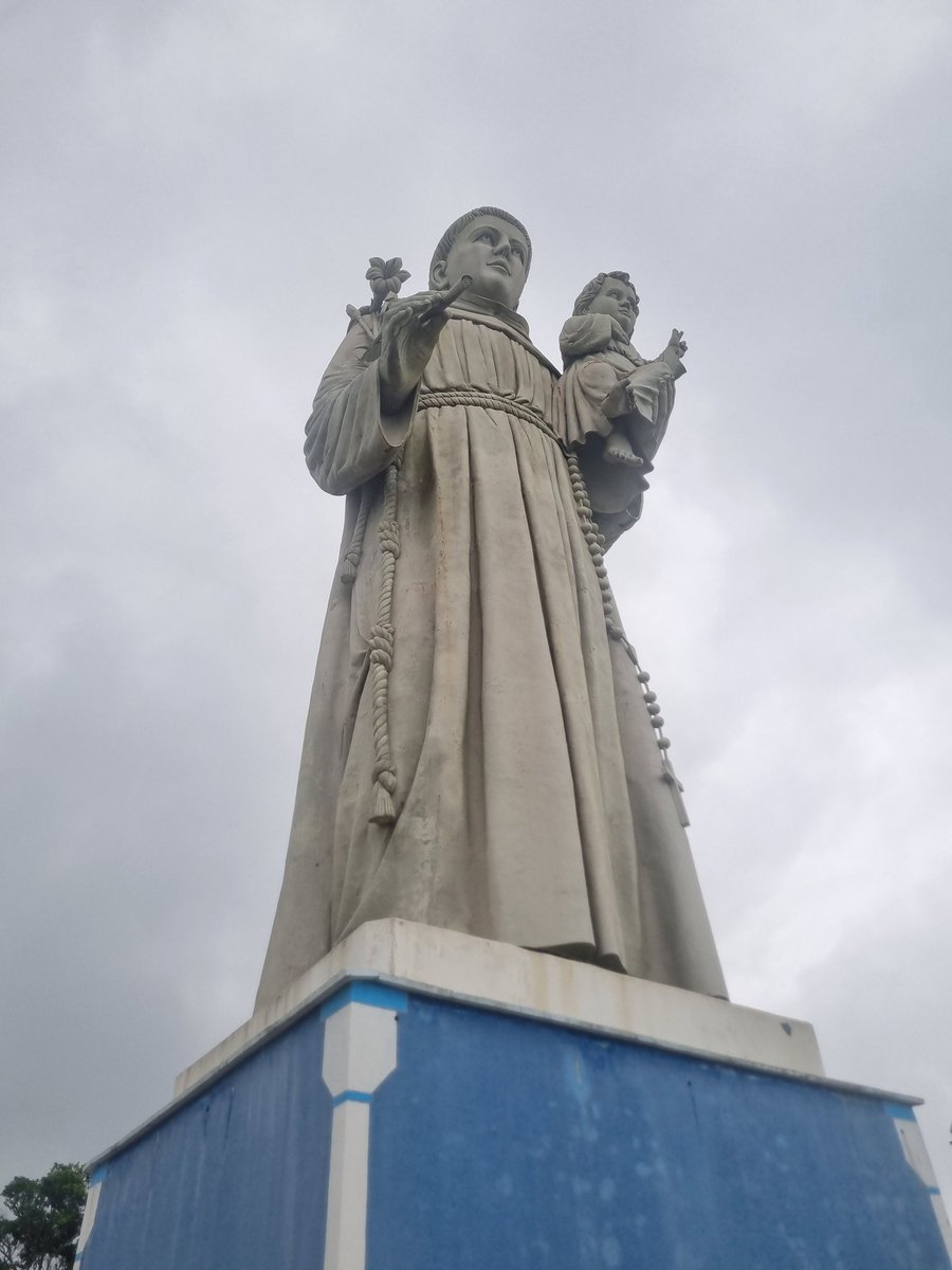 PaiCatólico 🇻🇦 tweet media