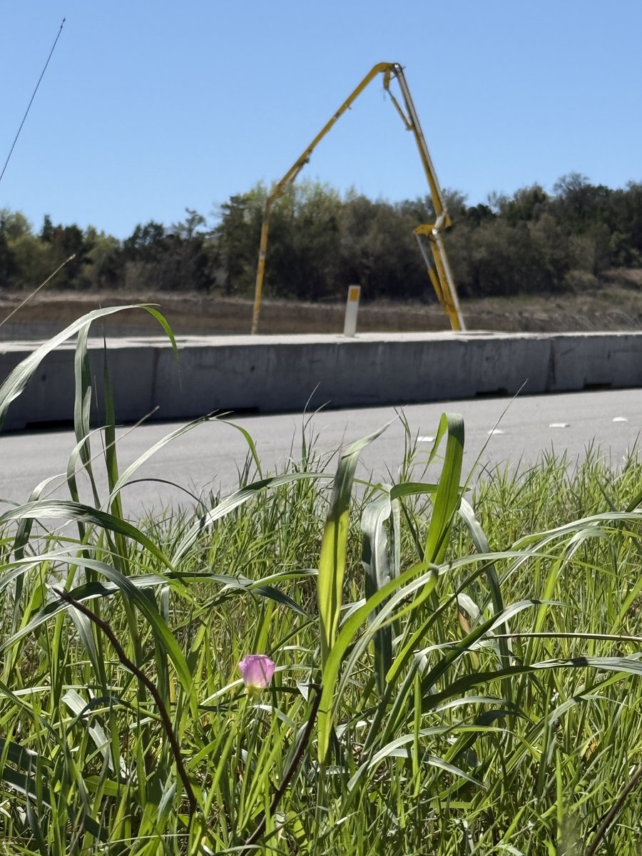 Loop360Project tweet media