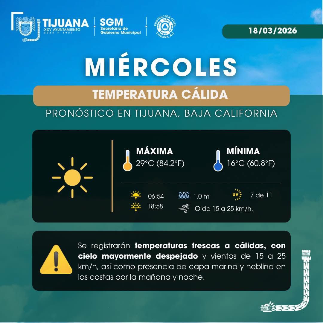 Tijuana Local tweet media