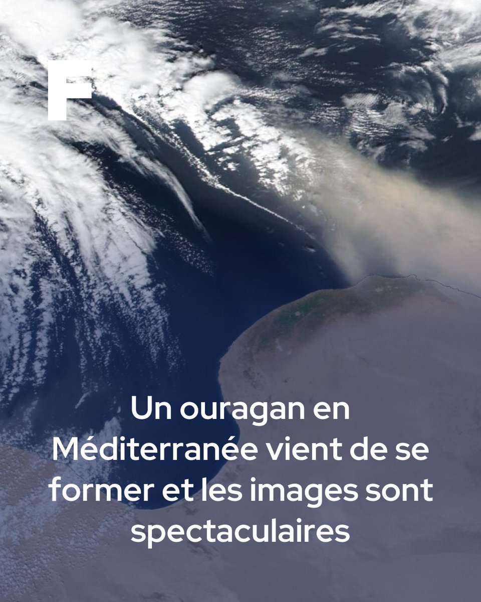 Futura tweet media