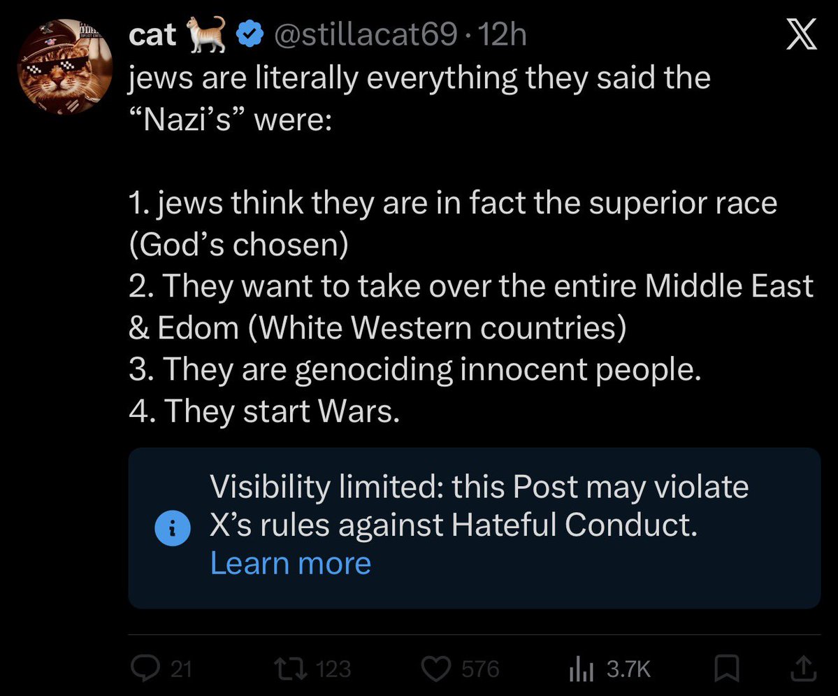 cat 🐈 tweet media