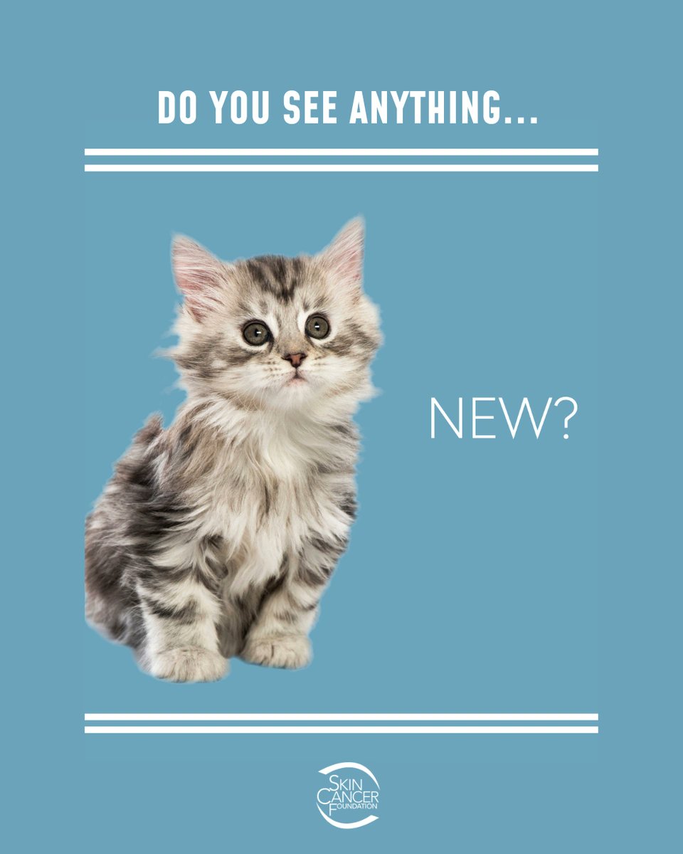 The Skin Cancer Foundation 👒 tweet media