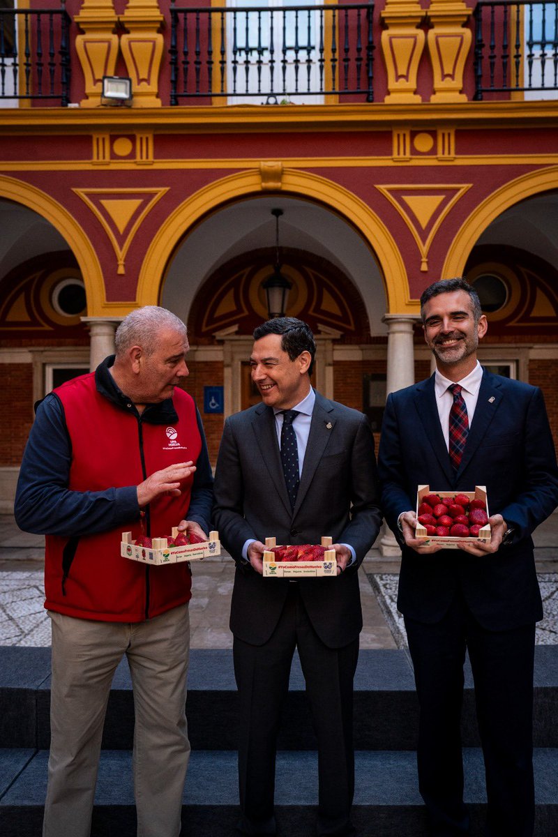 Ramón Fernández-Pacheco M tweet media