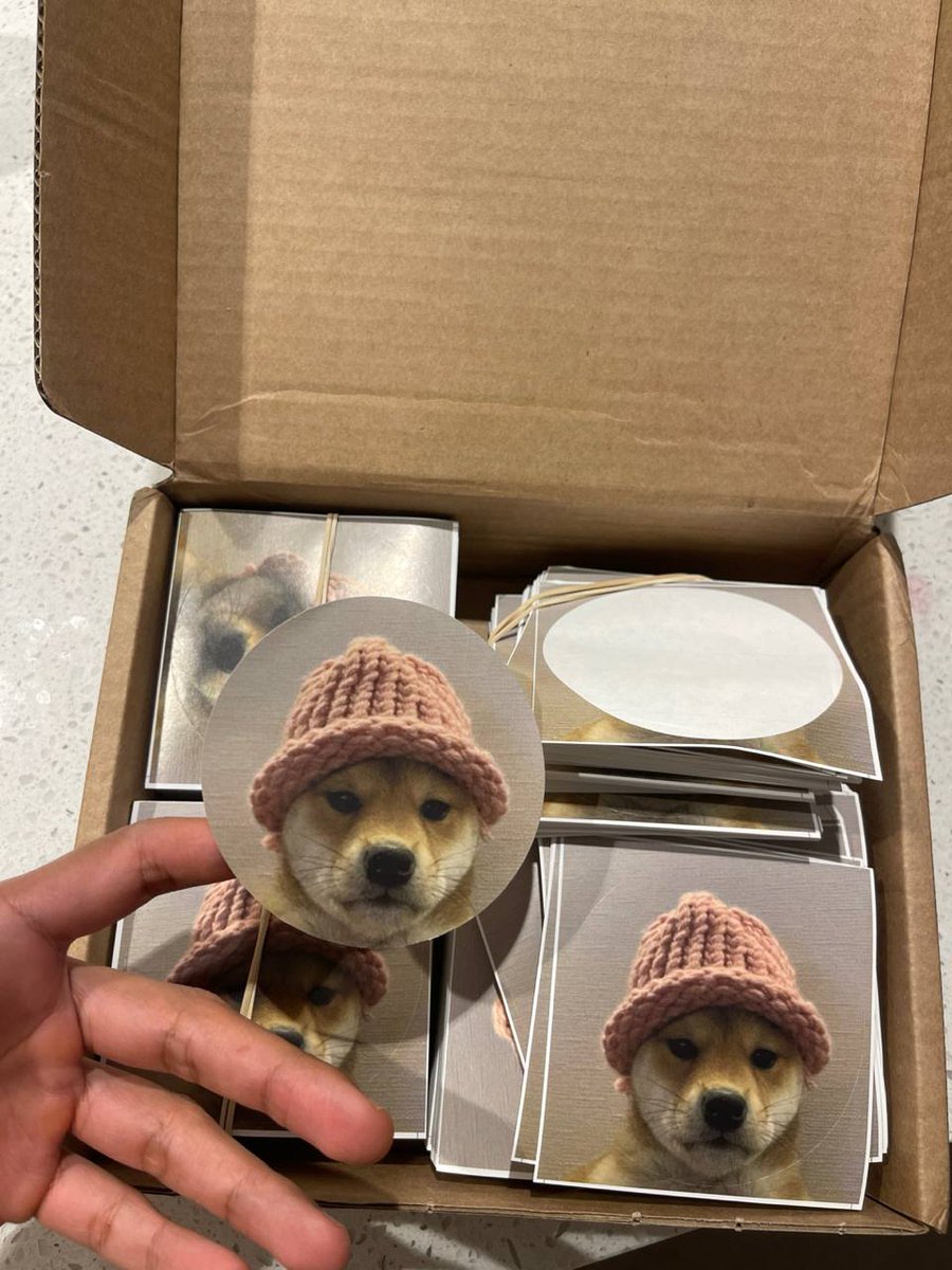 Boho 🌊 tweet media