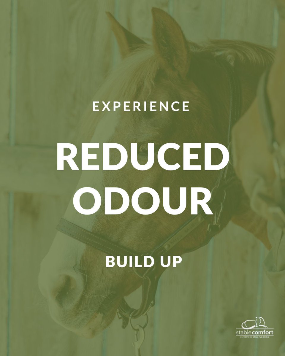 StableComfort's tweet photo. By designing a 100% waterproof, wall-to-wall flooring system, we prevent urine from seeping underneath and getting trapped. This helps eliminate the buildup of harmful ammonia and unpleasant odors in your stable — creating a healthier barn environment. https://t.co/xXVqdzQlGx