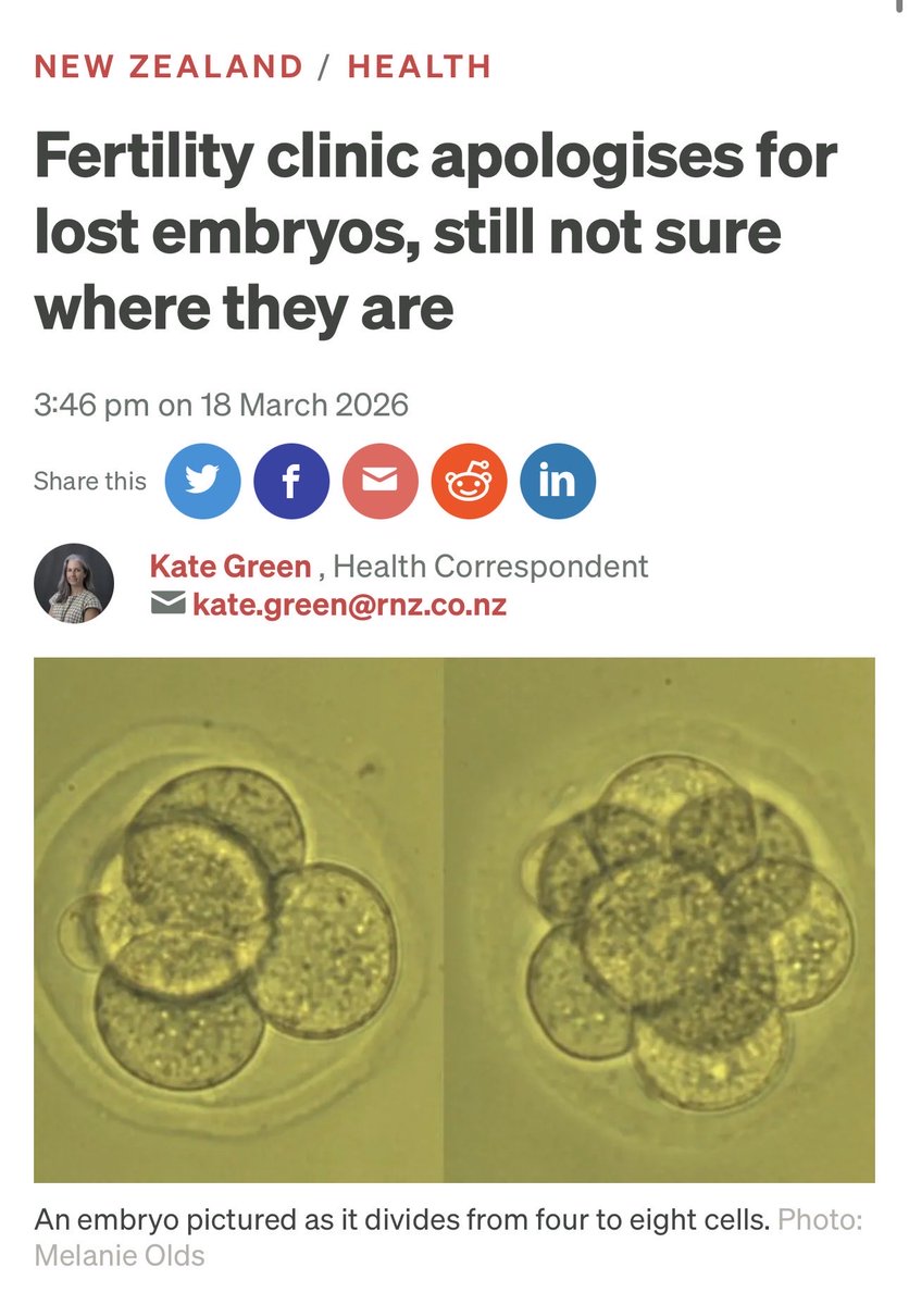 Katy Faust tweet media