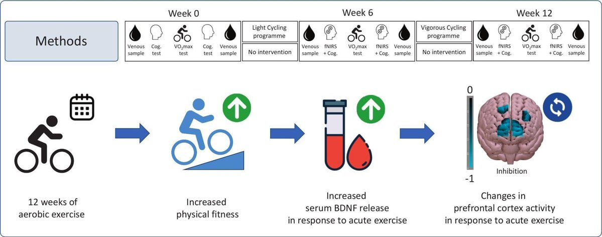 Louisa Nicola tweet media