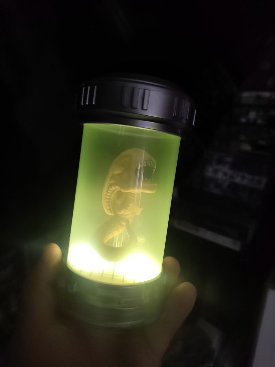 Kamil🦫 tweet media