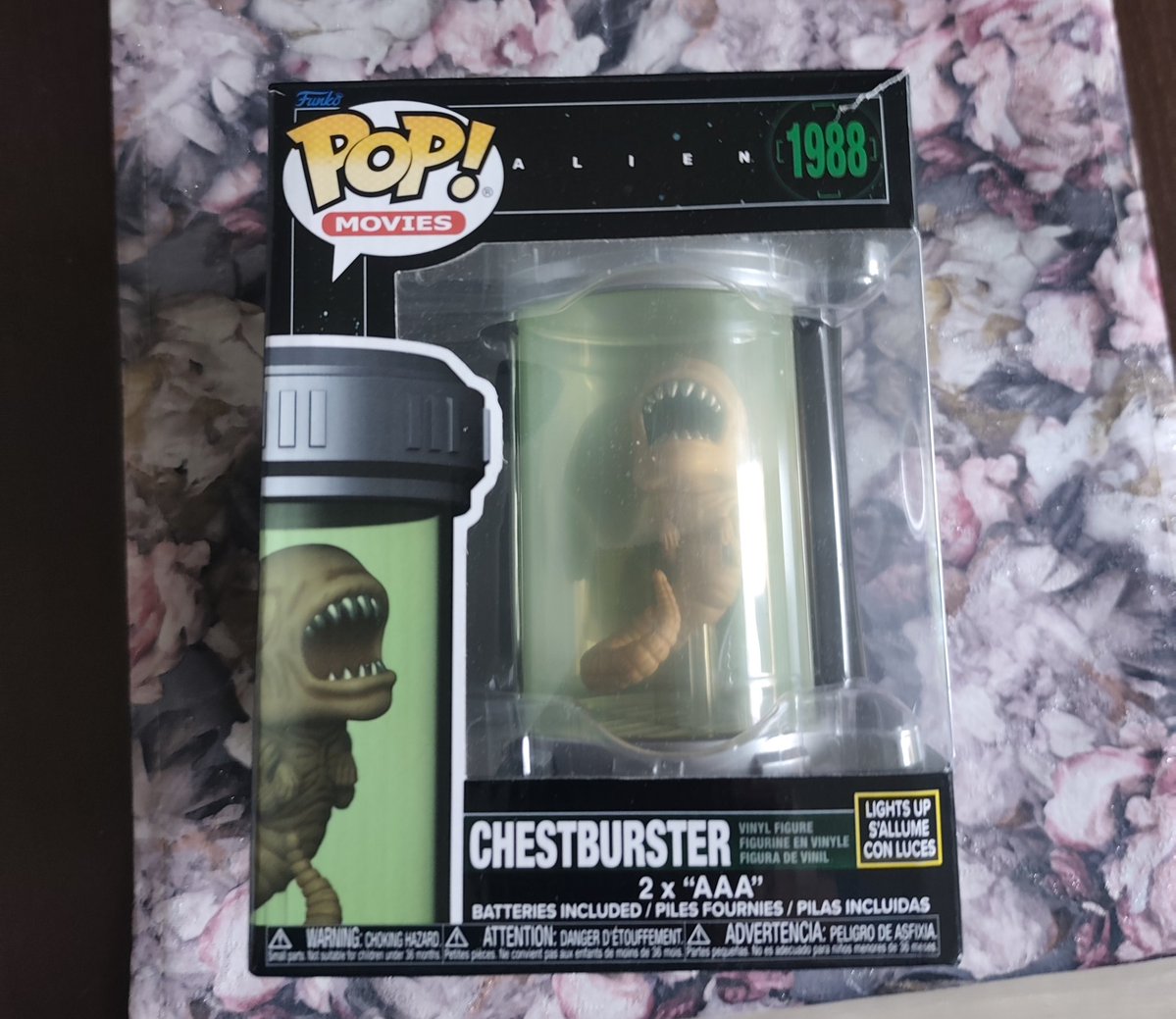 Kamil🦫 tweet media