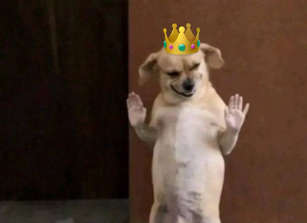 snow hamas tweet media